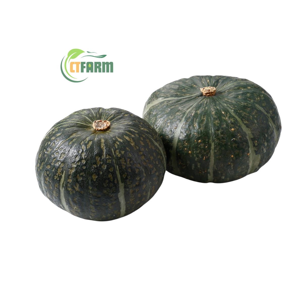 Bí Hạt Dẻ (Bí Khoai Lang) - Ảnh 4