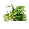 cải bó xôi chuẩn hữu cơ