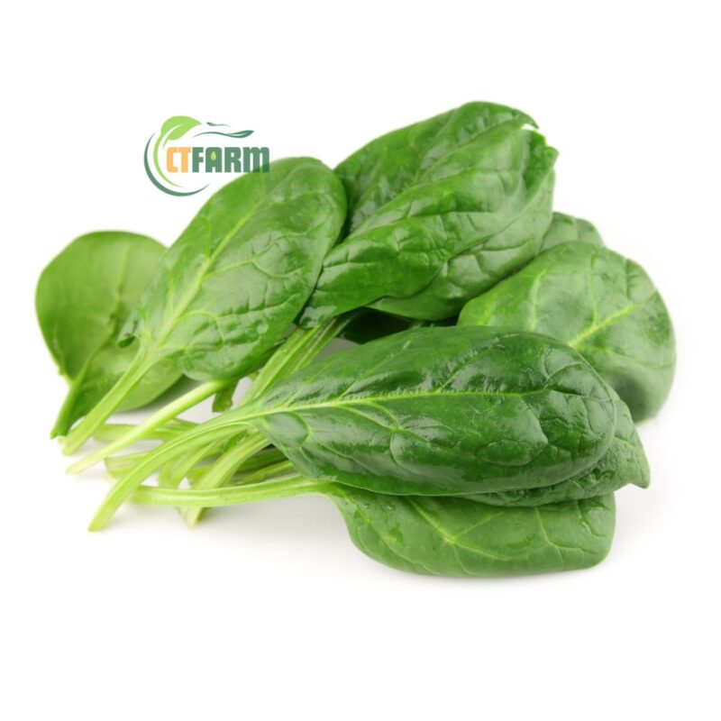 Cải Bó Xôi Hữu Cơ - Ảnh 2