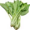 CẢI NGỌT ĐÀ LẠT CHUẨN HỮU CƠ