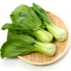 cải thìa chuẩn hữu cơ ctfarm