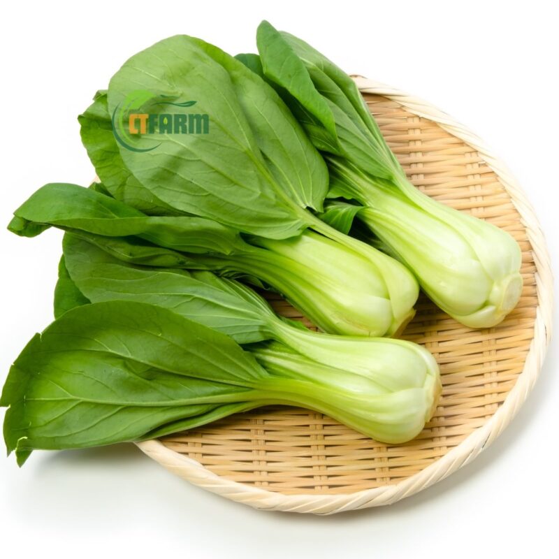 cải thìa chuẩn hữu cơ ctfarm