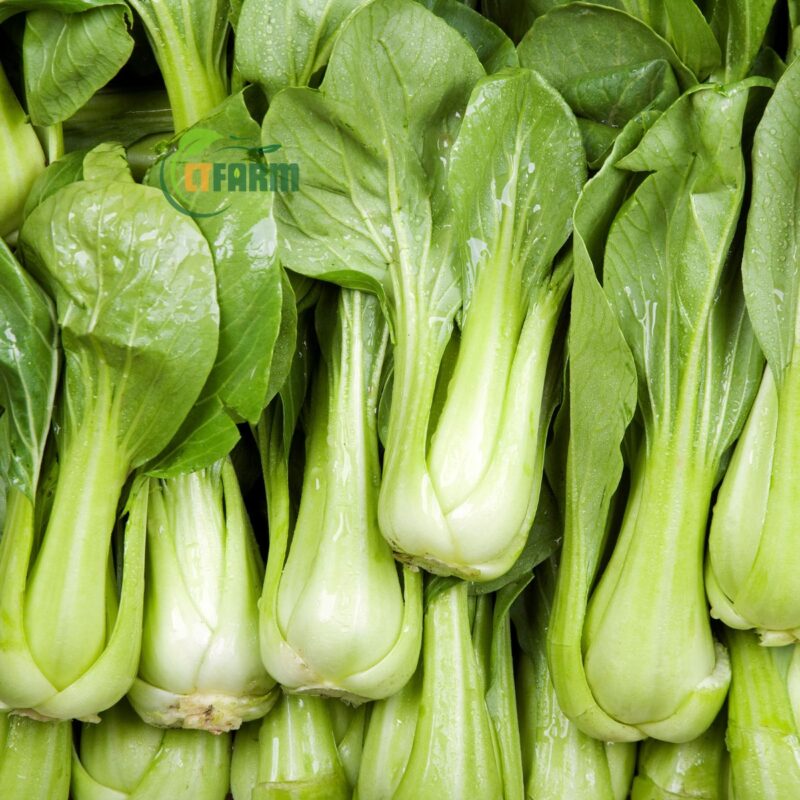 Cải Thìa Hữu Cơ - Ảnh 5