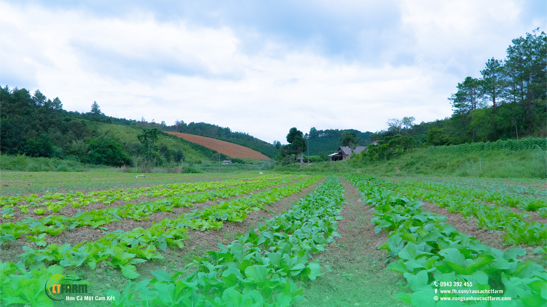 Một ngày tại Nông Sản Hữu Cơ CTFarm 05