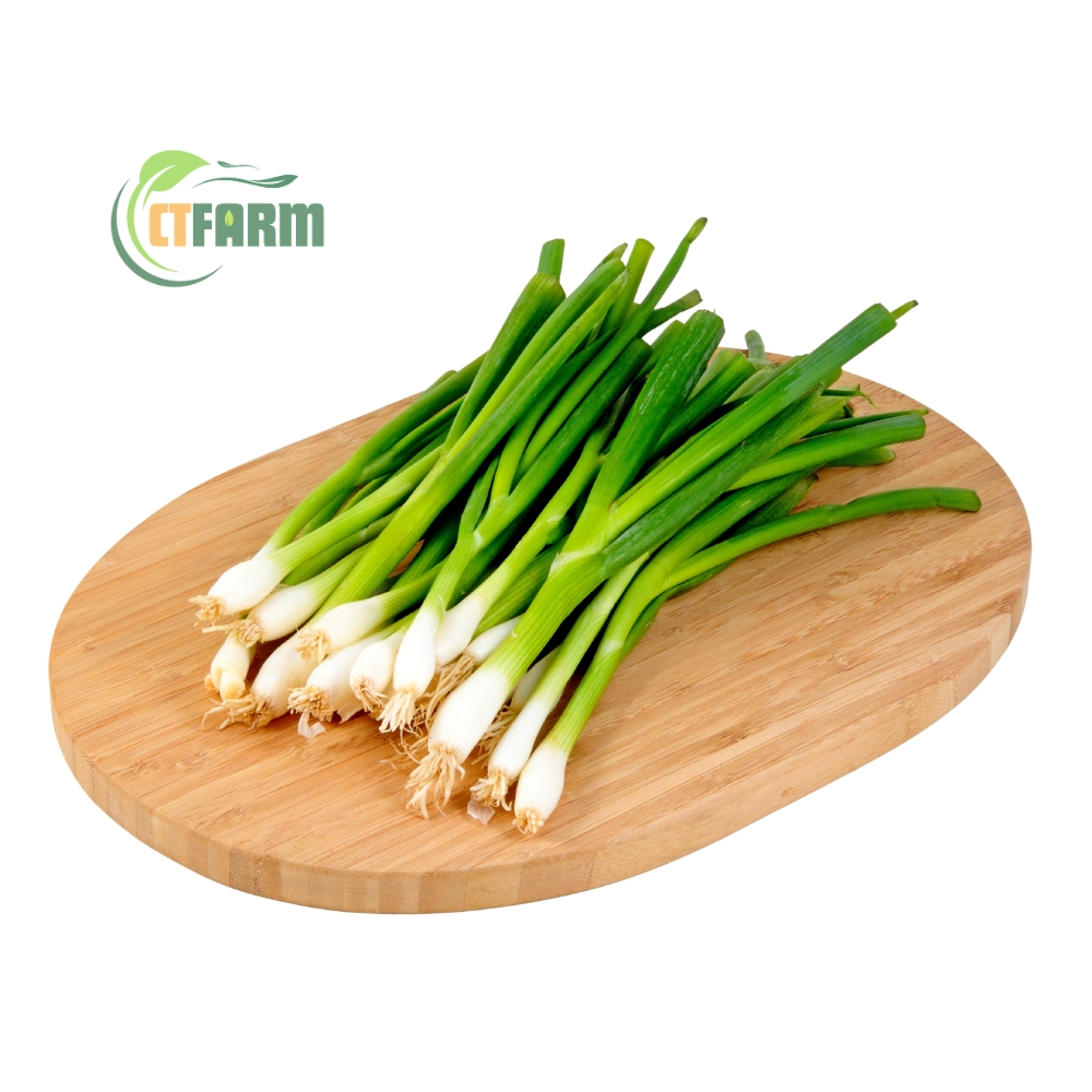 Hành lá hữu cơ tại CTFarm