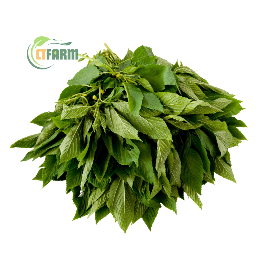 Rau đay hữu cơ CTFARM