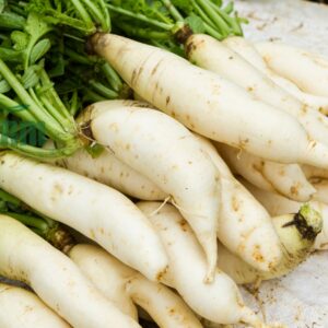 củ cải trắng hữu cơ CTFARM tại Đà Lạt