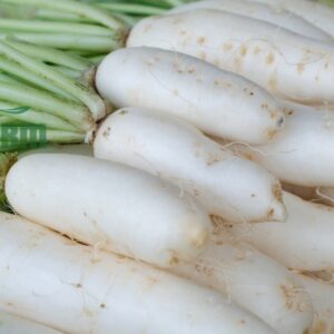 củ cải trắng hữu cơ CTFARM