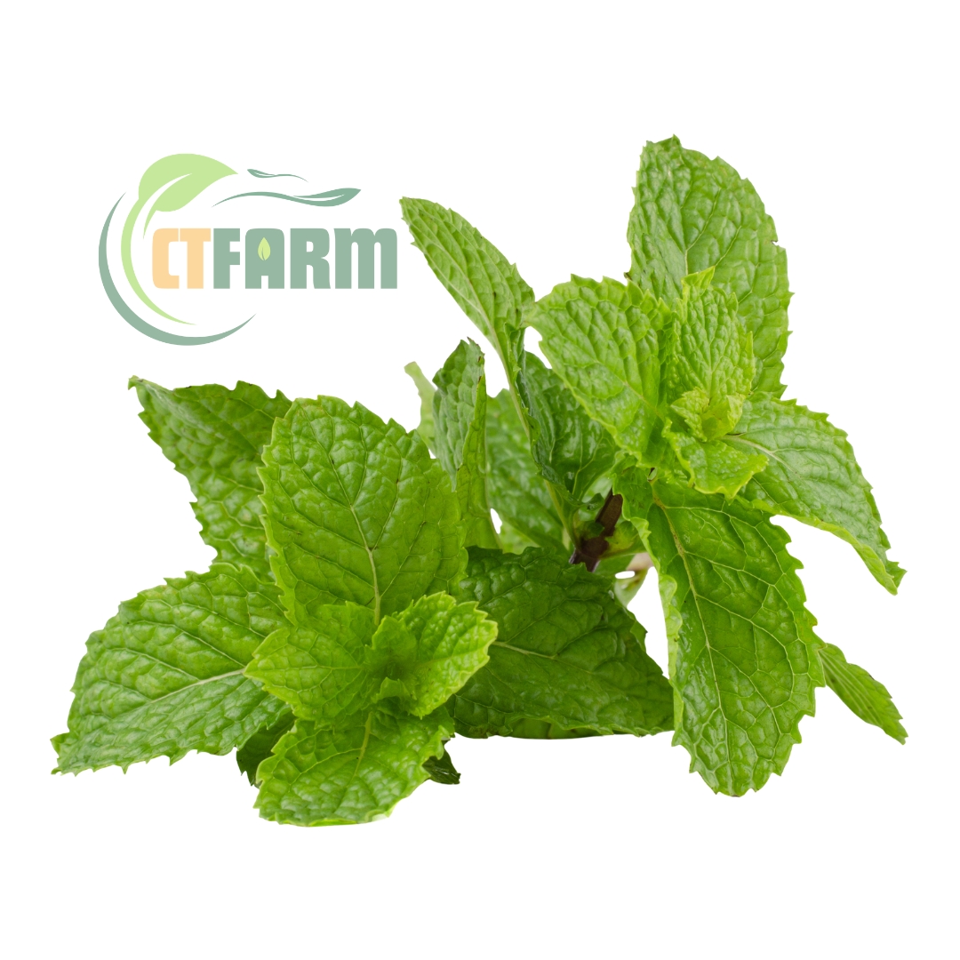 húng lủi hữu cơ CTFARM