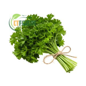 Ngò tây hữu cơ CTFARM