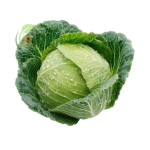 sú bắc hữu cơ - bắp cải bắc hữu cơ