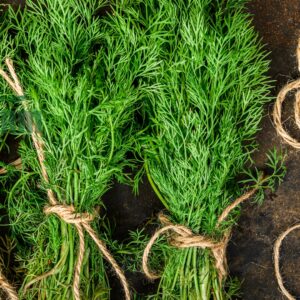 Thì là hữu cơ canh tác tự nhiên