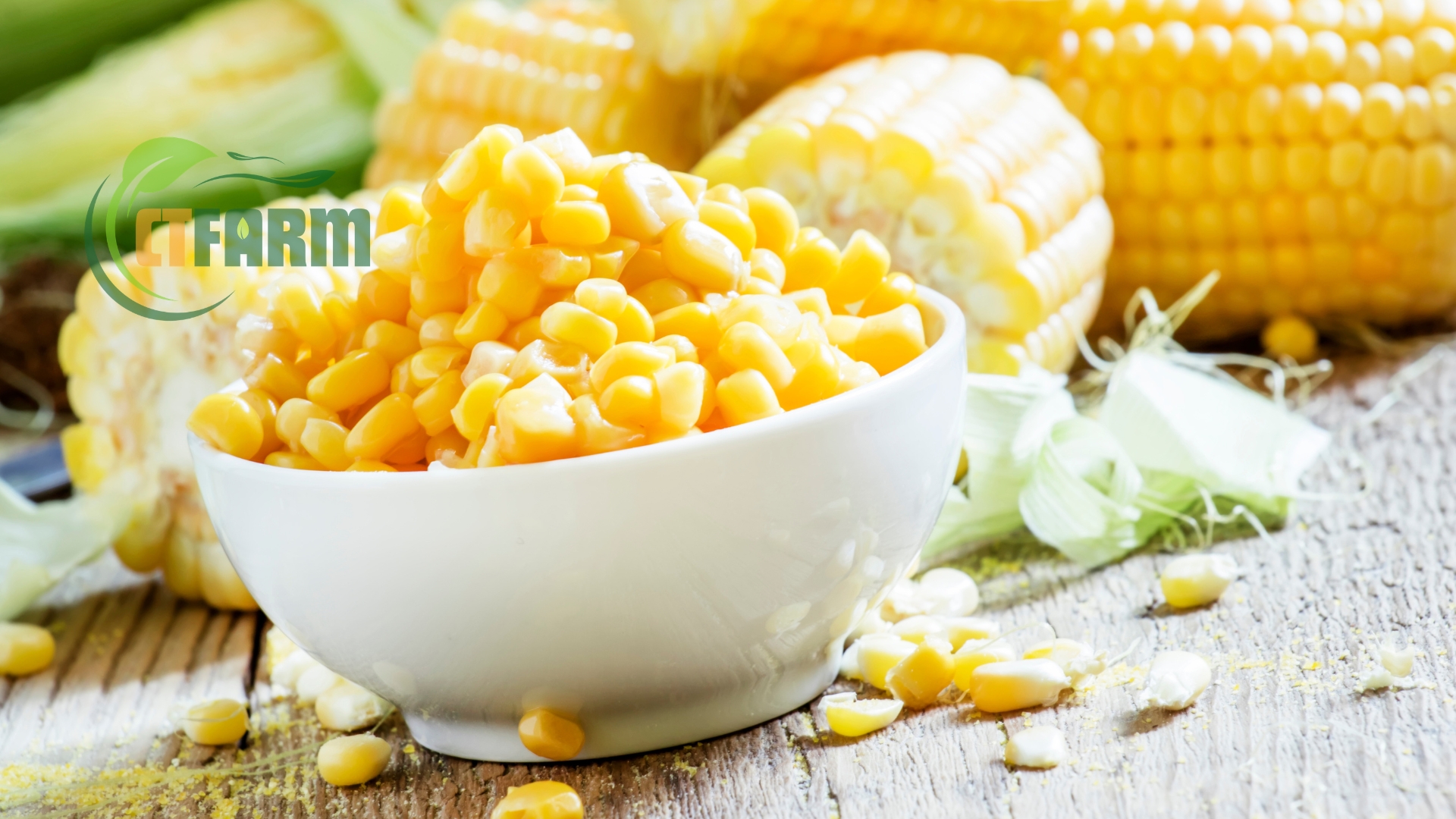 bắp mỹ hữu cơ tại ctfarm