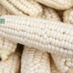 bắp nếp hữu cơ ctfarm