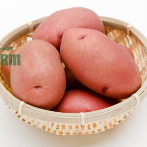 khoai tây hồng hữu cơ