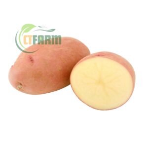 khoai tây hồng hữu cơ