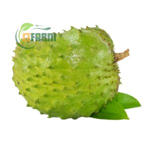 mãng cầu xiêm hữu cơ