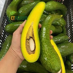 bơ 034 hữu cơ