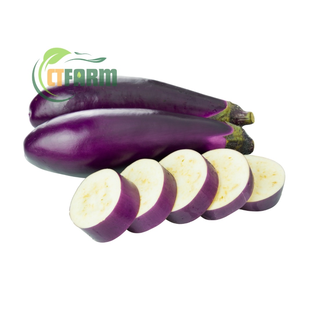 Cà tím hữu cơ