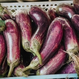 cà tím đà lạt