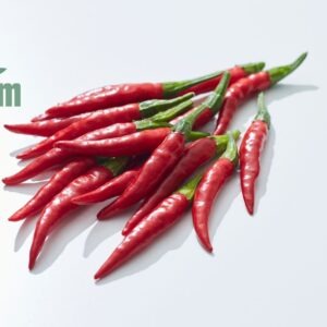 ớt hữu cơ